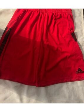 Adidas shorts size xl
